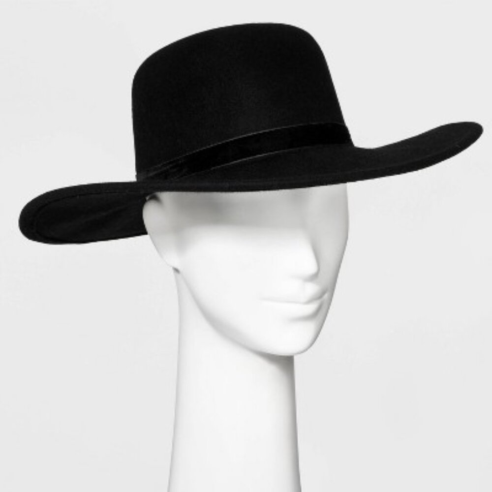 Wide Brim Felt Hat